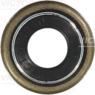 Seal Ring, valve stem